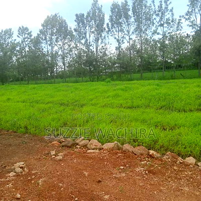 Kenol Katipanga Plots for Sale - Image 12