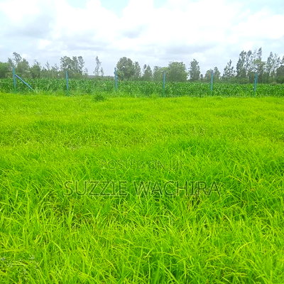 Kenol Katipanga Plots for Sale - Image 10