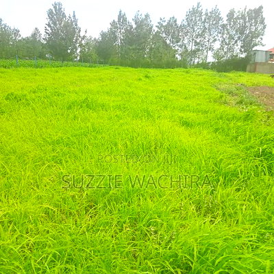 Kenol Katipanga Plots for Sale - Image 8