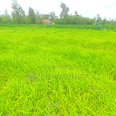 Kenol Katipanga Plots for Sale - Image 5