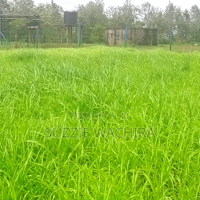 Kenol Katipanga Plots for Sale - Image 11