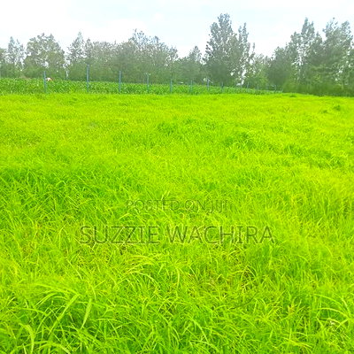 Kenol Katipanga Plots for Sale - Image 9