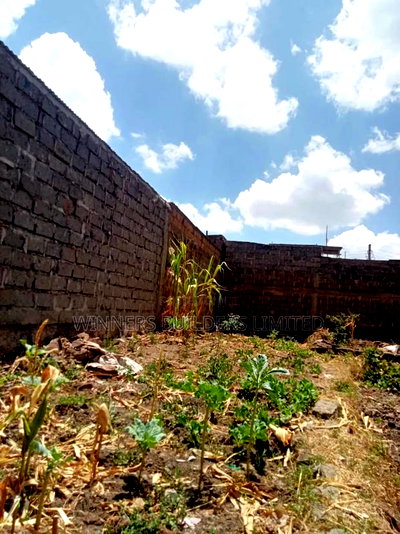 40 by 60 Plot for Sale at Githurai - Image 2