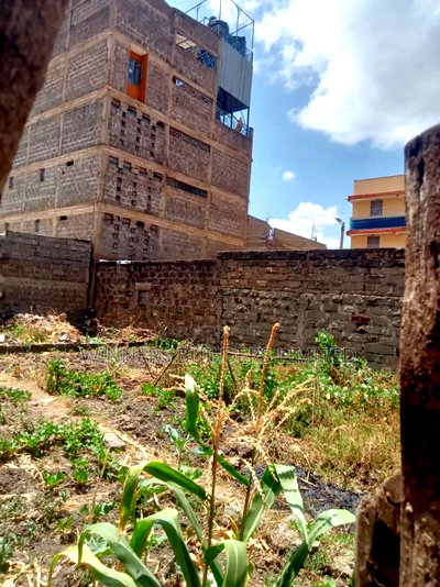 40 by 60 Plot for Sale at Githurai - Image 5