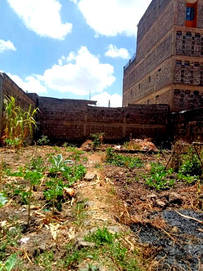 40 by 60 Plot for Sale at Githurai - Image 7