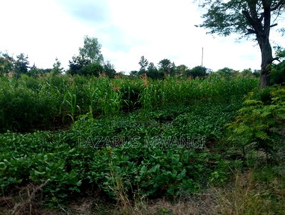 Quarter Acre for Sale at Karaba Near Karaba Health Centre - Image 1