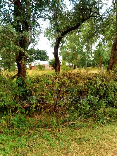 Quarter Acre for Sale at Karaba Near Karaba Health Centre - Image 9