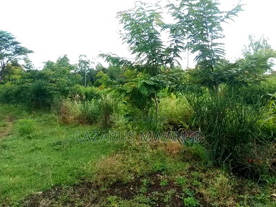 Quarter Acre for Sale at Karaba Near Karaba Health Centre - Image 13