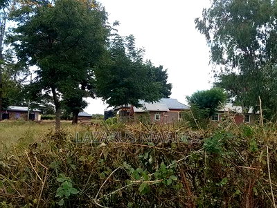 Quarter Acre for Sale at Karaba Near Karaba Health Centre - Image 4