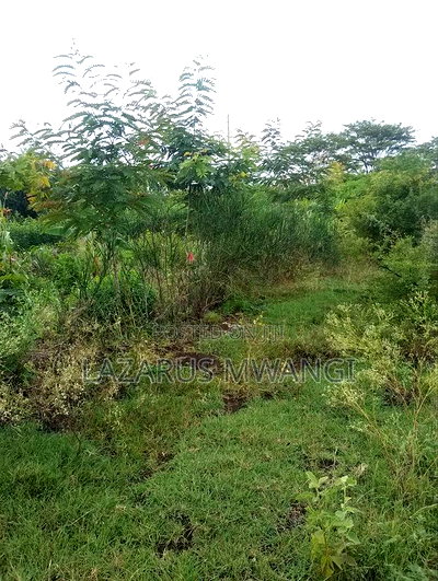 Quarter Acre for Sale at Karaba Near Karaba Health Centre - Image 15