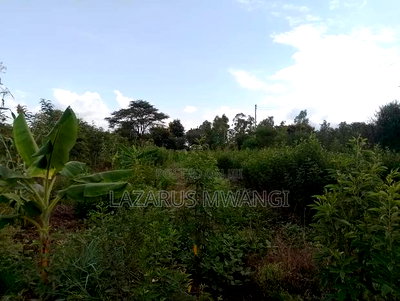 Quarter Acre for Sale at Karaba Near Karaba Health Centre - Image 12