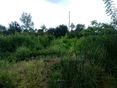 Quarter Acre for Sale at Karaba Near Karaba Health Centre - Image 10