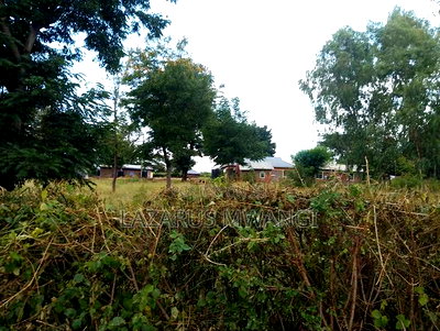 Quarter Acre for Sale at Karaba Near Karaba Health Centre - Image 3