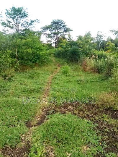 Quarter Acre for Sale at Karaba Near Karaba Health Centre - Image 14