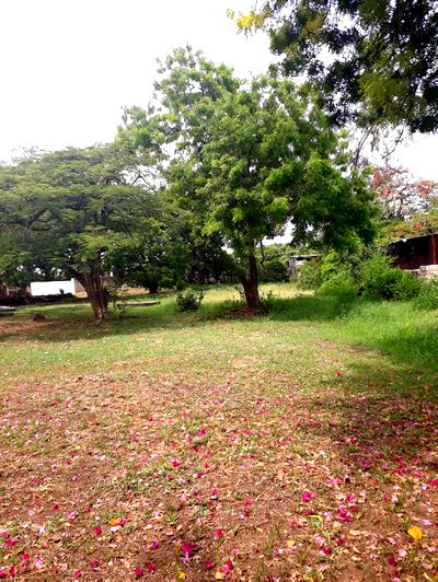 4bdrm Maisonette in Nyali for Sale - Image 2