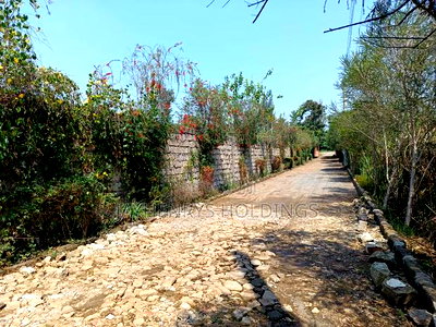 5bdrm House in Thome Estate for sale - Image 5