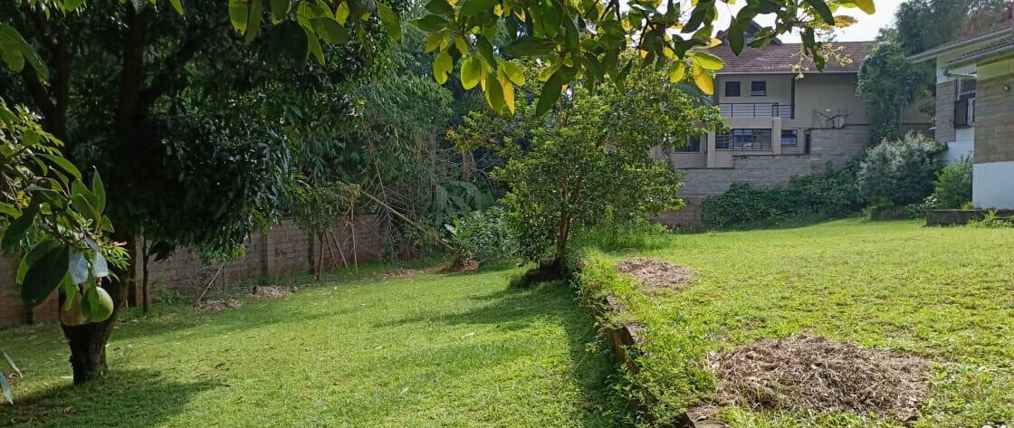 6-Acre Garden Plot in Westlands