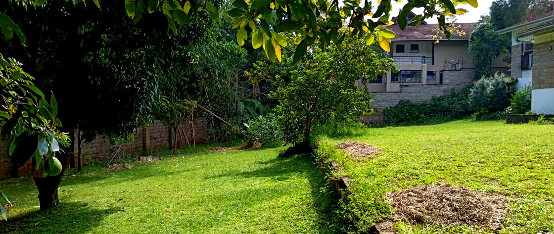 6-Acre Garden Plot in Westlands