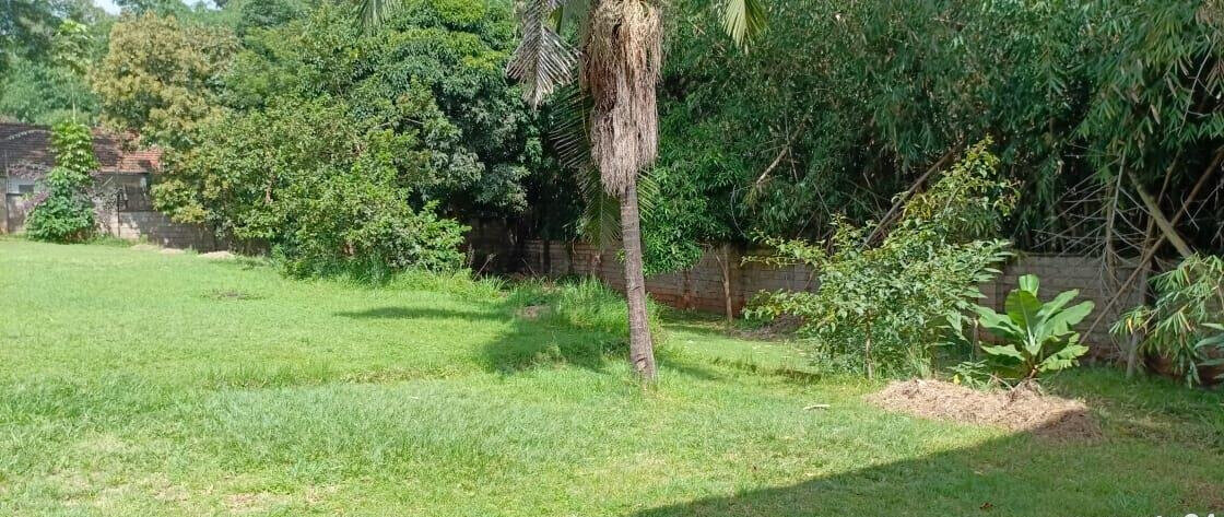 6-Acre Garden Plot in Westlands