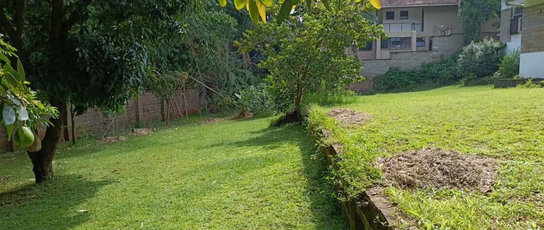 6-Acre Garden Plot in Westlands