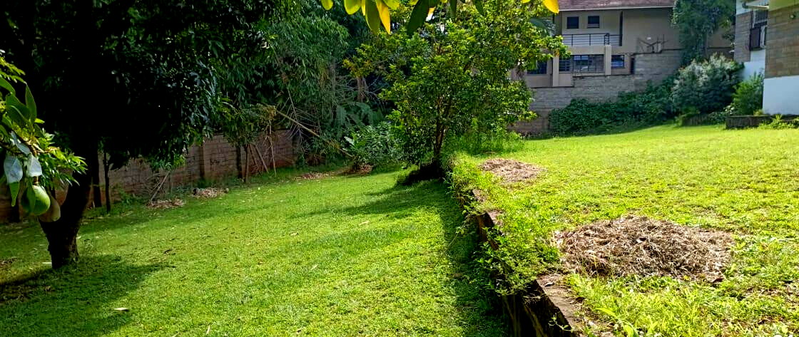 6-Acre Garden Plot in Westlands