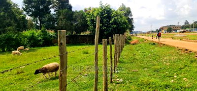 Touching Highway Plots for Sale in Langas Poly in Eldoret - Image 1