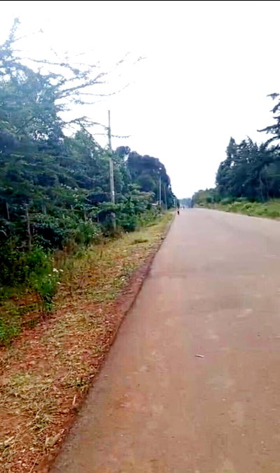 2-Acre Plot in Ndeiya for KSh 20M