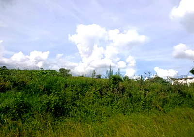 5-Acre Garden Land with Parking