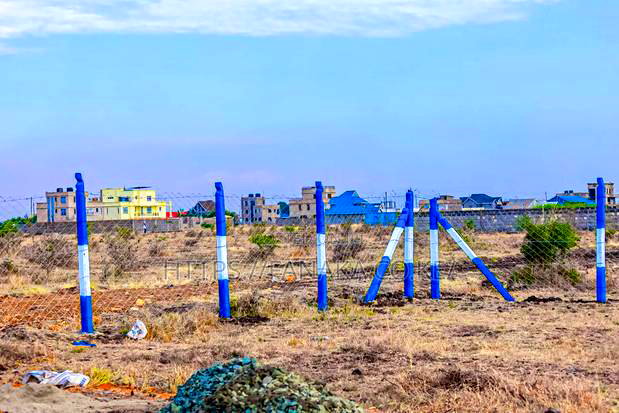 Cheap Plots in Silicon Valley Kamakis