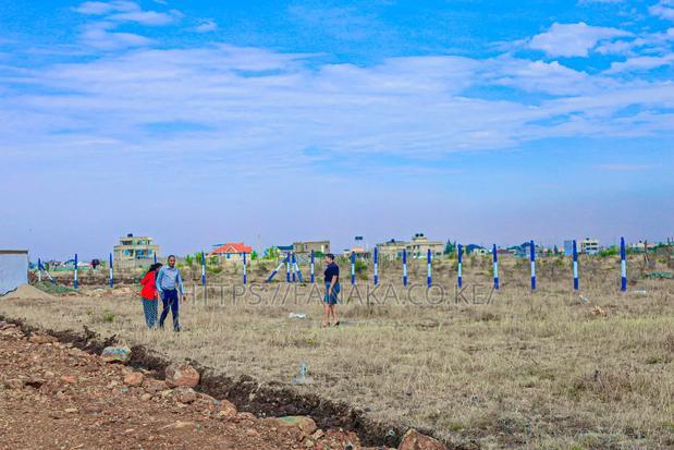 Cheap Plots in Silicon Valley Kamakis