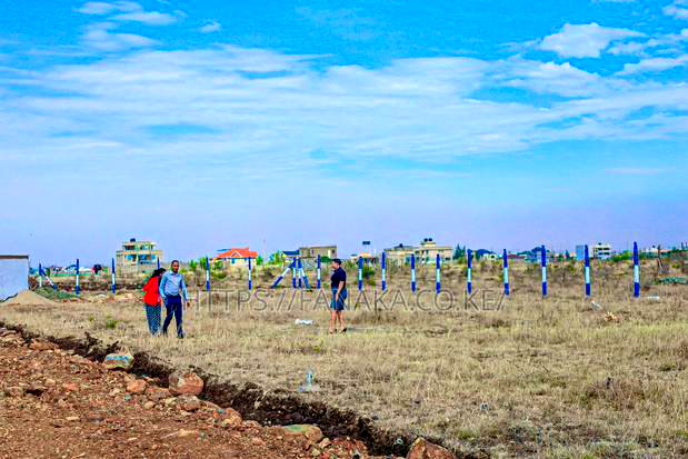 Cheap Plots in Silicon Valley Kamakis