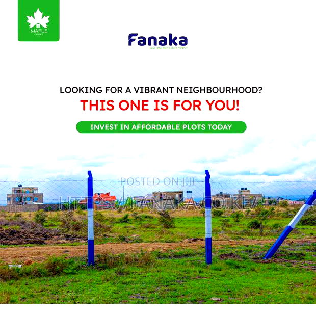 Cheap Plots in Silicon Valley Kamakis