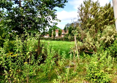 Half Acre Plot Off Mukuyu West Avenue