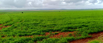 113-Acre Farm with Garden & Parking - KSh 20K