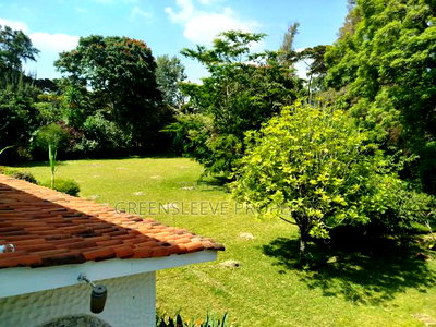 Furnished 7bdrm House in Karen for rent - Image 9