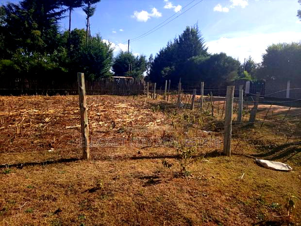 1/ 8 Plots in Outspan 300metres From Tarmac