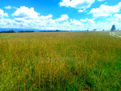 4 Acres for Sale Nanyuki Gobit - Image 4