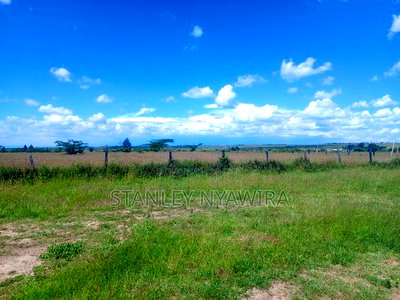 4 Acres for Sale Nanyuki Gobit - Image 3
