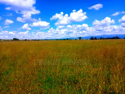 4 Acres for Sale Nanyuki Gobit - Image 1