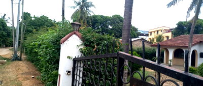 Pet Friendly 1/2 Acre Plot