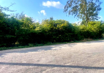 Half Acre Watamu Plot at KSh 11.5M