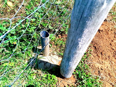 Residential Plot for Sale in Kikuyu, Nachu-Ndacha! - Image 11