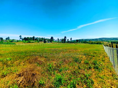 Residential Plot for Sale in Kikuyu, Nachu-Ndacha! - Image 6