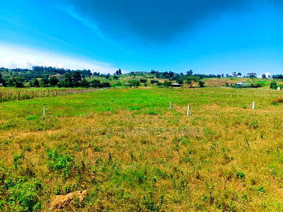 Residential Plot for Sale in Kikuyu, Nachu-Ndacha! - Image 3