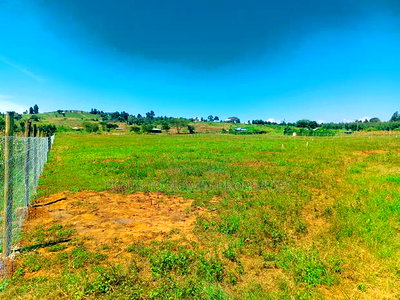 Residential Plot for Sale in Kikuyu, Nachu-Ndacha! - Image 4