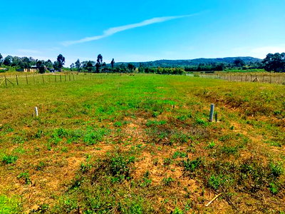 Residential Plot for Sale in Kikuyu, Nachu-Ndacha! - Image 7