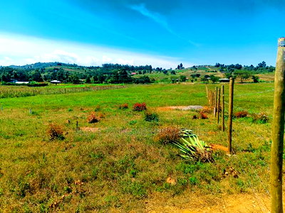 Residential Plot for Sale in Kikuyu, Nachu-Ndacha! - Image 2