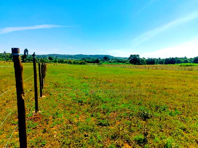 Residential Plot for Sale in Kikuyu, Nachu-Ndacha! - Image 8