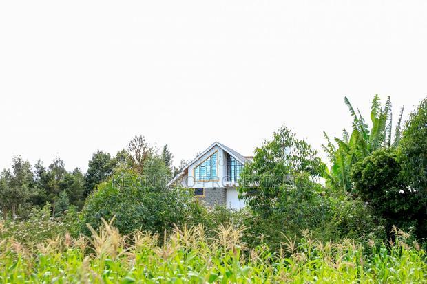 Prime 1/2-Acre Residential Plot for Sale - Kikuyu, Lusigetti