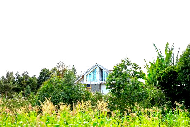 Prime 1/2-Acre Residential Plot for Sale - Kikuyu, Lusigetti